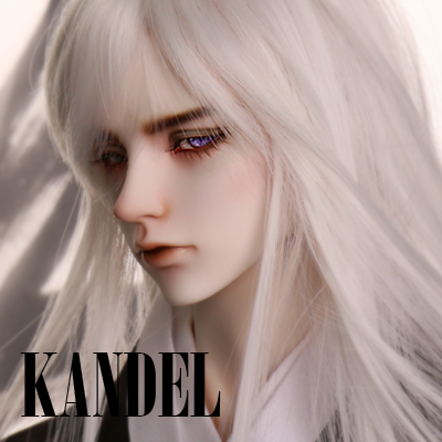 칸델 KANDEL - Lace White